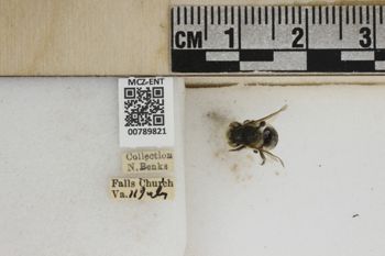 Media type: image;   Entomology 789821 Aspect: Labels